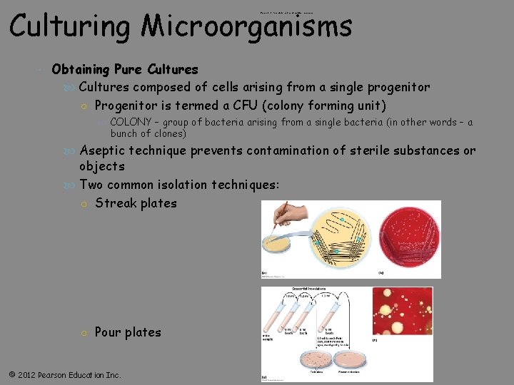 Culturing Microorganisms Figure 6. 10 Pour plate method of isolation-overview Obtaining Pure Cultures composed