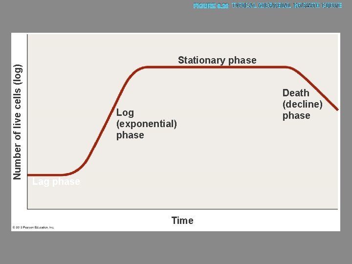 Number of live cells (log) FIGURE 6. 20 TYPICAL MICROBIAL GROWTH CURVE Stationary phase