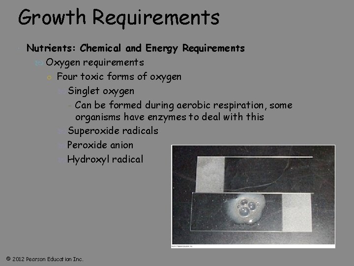 Growth Requirements Nutrients: Chemical and Energy Requirements Oxygen requirements ○ Four toxic forms of