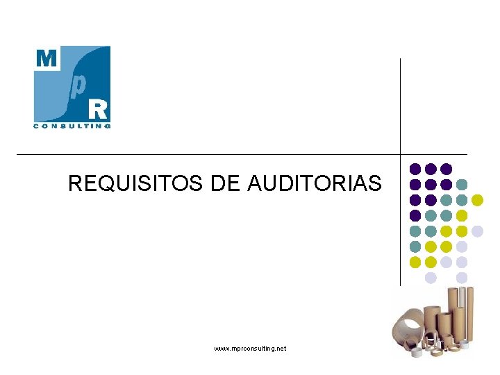 REQUISITOS DE AUDITORIAS www. mprconsulting. net 
