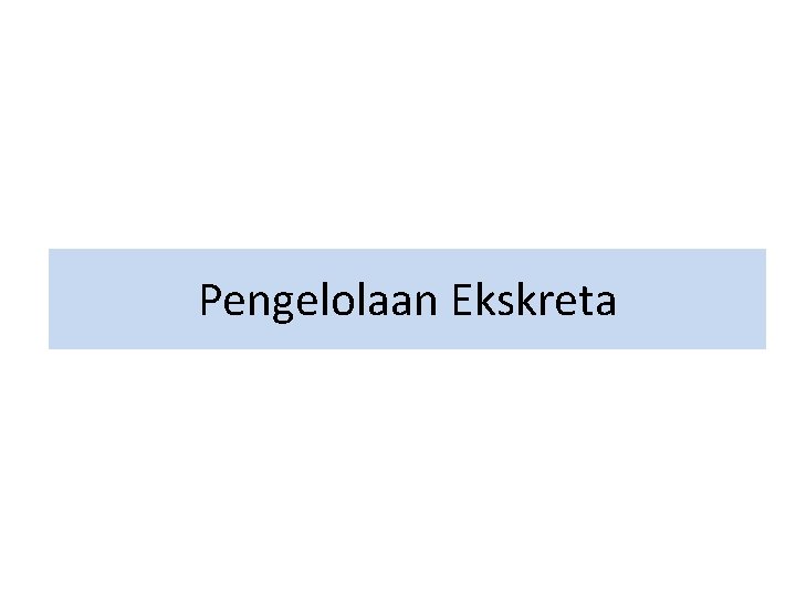 Pengelolaan Ekskreta 