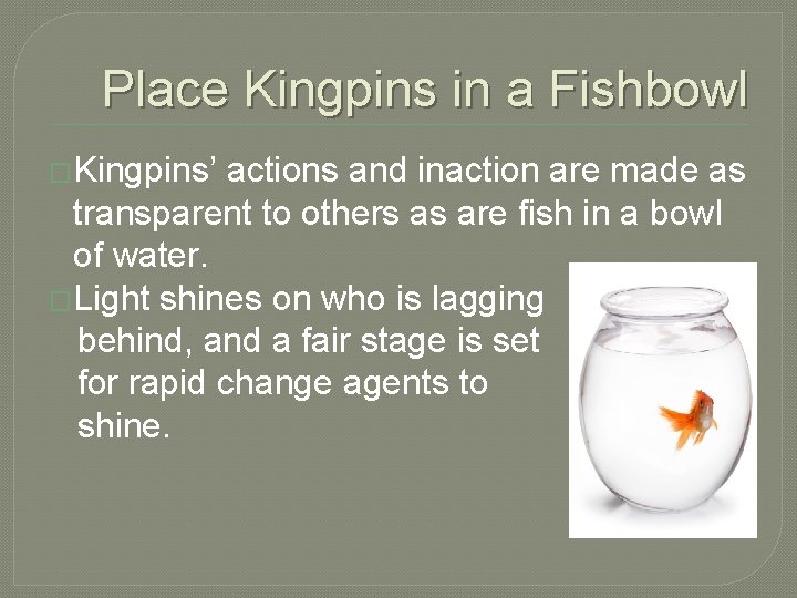 Place Kingpins in a Fishbowl �Kingpins’ actions and inaction are made as transparent to
