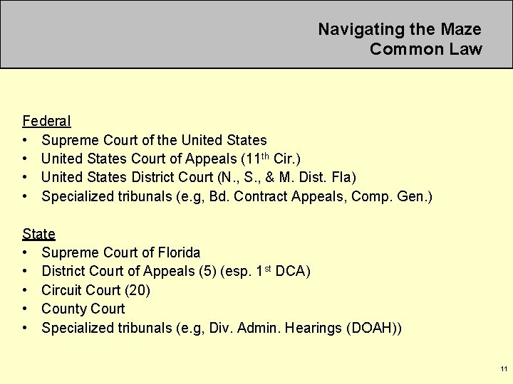 Navigating the Maze Common Law Federal • Supreme Court of the United States •