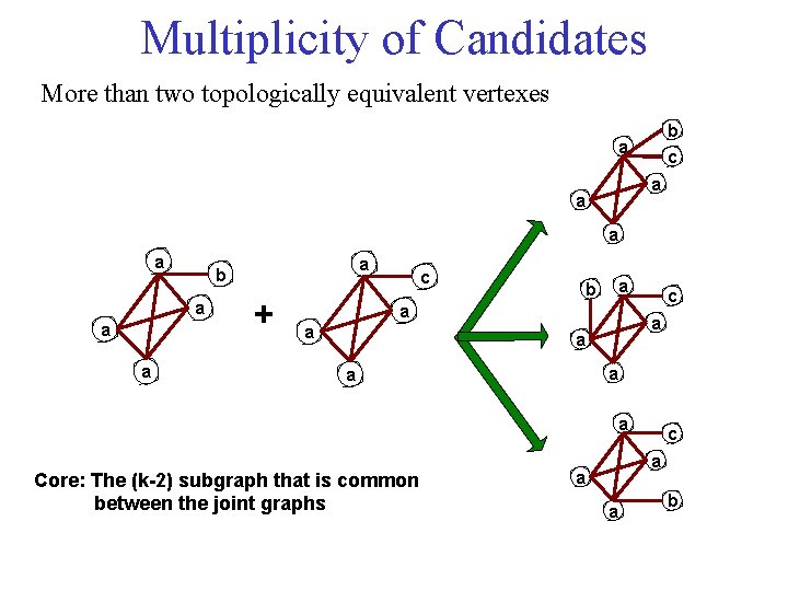 Multiplicity of Candidates More than two topologically equivalent vertexes b c a a a
