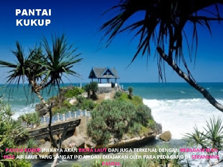PANTAI KUKUP INI KAYA AKAN BIOTA LAUT DAN JUGA TERKENAL DENGAN BERAGAM IKAN HIAS