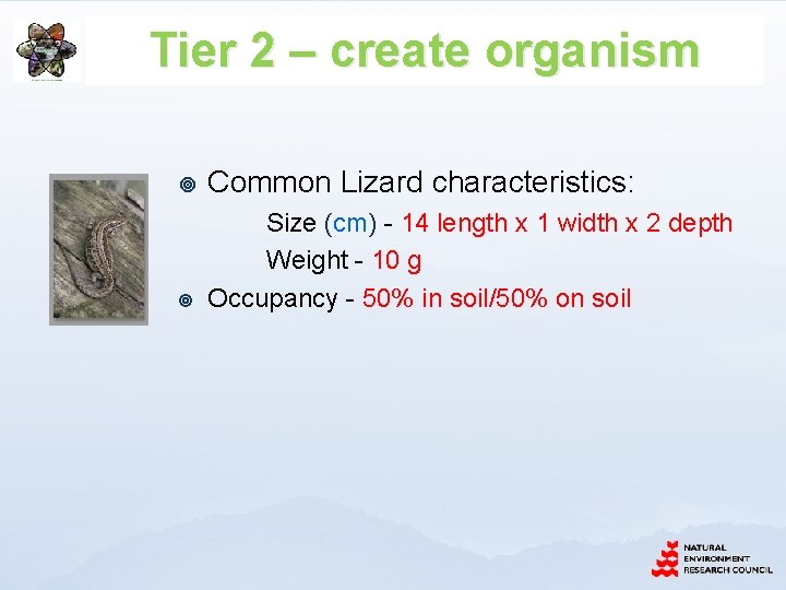 Tier 2 – create organism ¥ Common Lizard characteristics: ¥ Size (cm) - 14