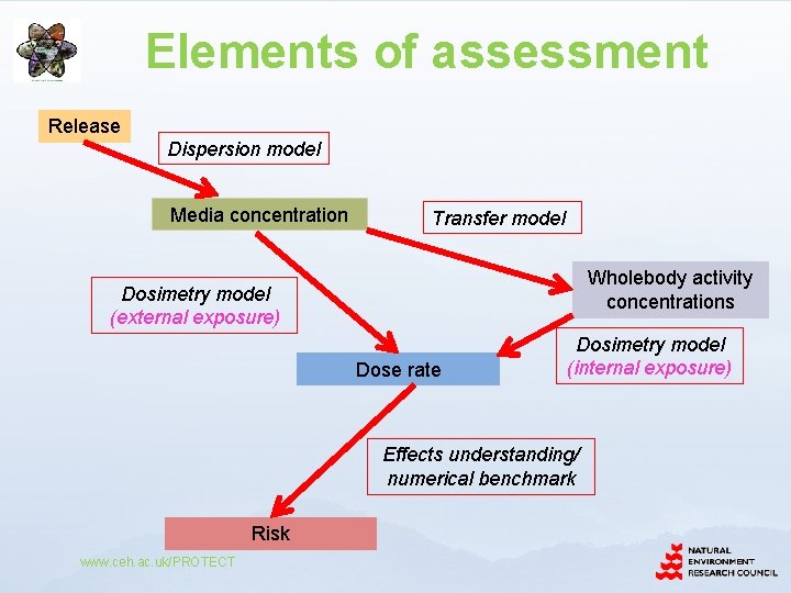 Elements of assessment Release Dispersion model Media concentration Transfer model Wholebody activity concentrations Dosimetry