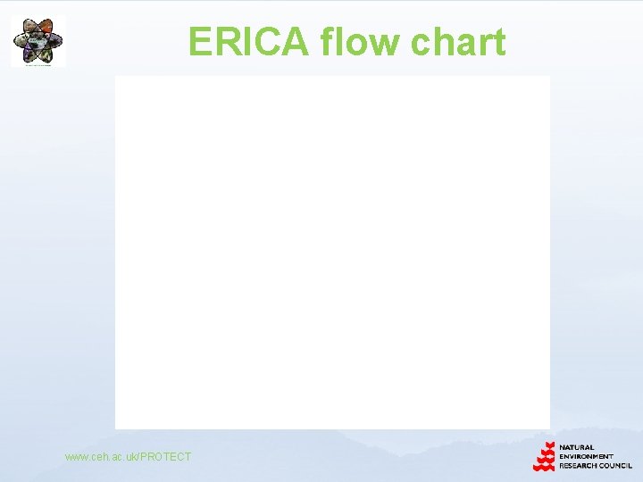 ERICA flow chart www. ceh. ac. uk/PROTECT 