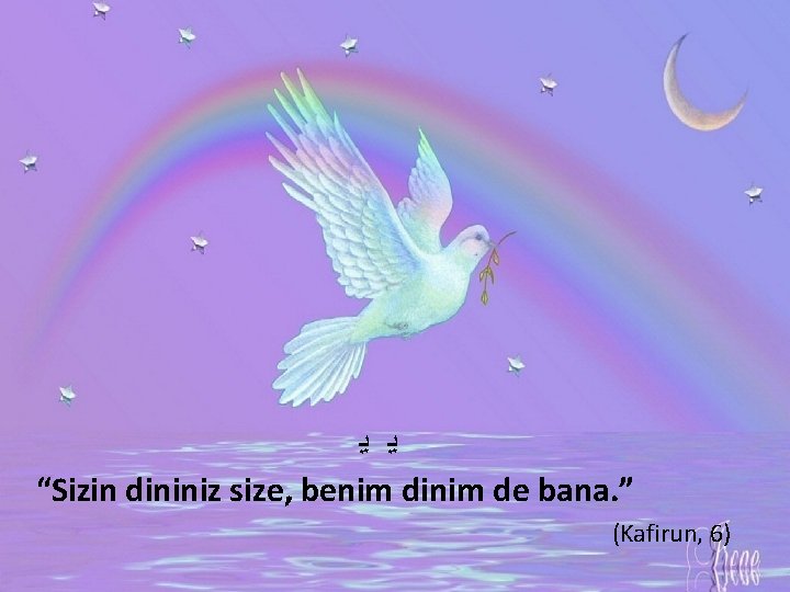  ﻳ ﻳ “Sizin dininiz size, benim dinim de bana. ” (Kafirun, 6) 