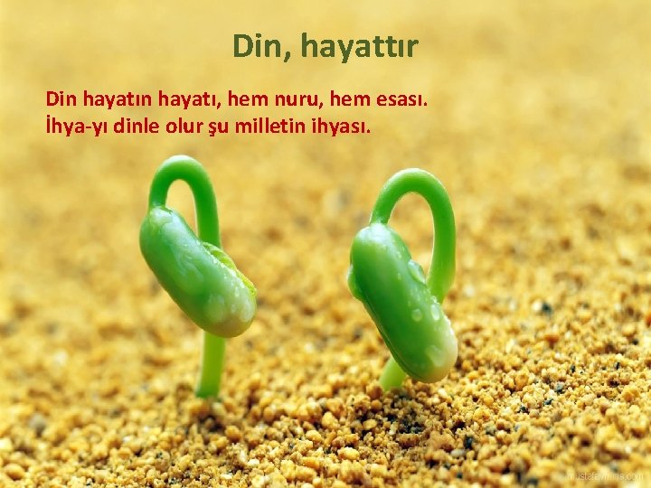 Din, hayattır Din hayatı, hem nuru, hem esası. İhya-yı dinle olur şu milletin ihyası.