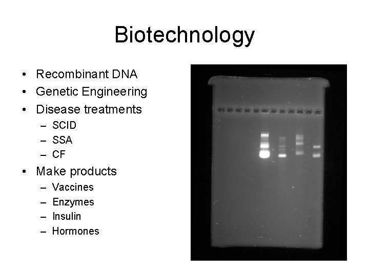 Biotechnology • Recombinant DNA • Genetic Engineering • Disease treatments – SCID – SSA