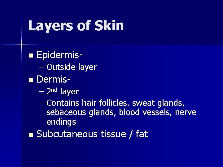 Layers of Skin n Epidermis– Outside layer n Dermis– 2 nd layer – Contains