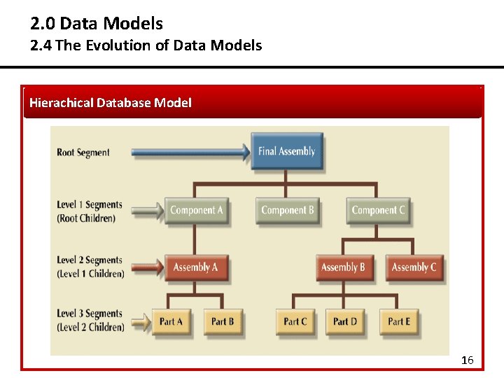 2. 0 Data Models 2. 4 The Evolution of Data Models Hierachical Database Model 2. 0 Data Models 2. 4 The Evolution of Data Models Hierachical Database Model