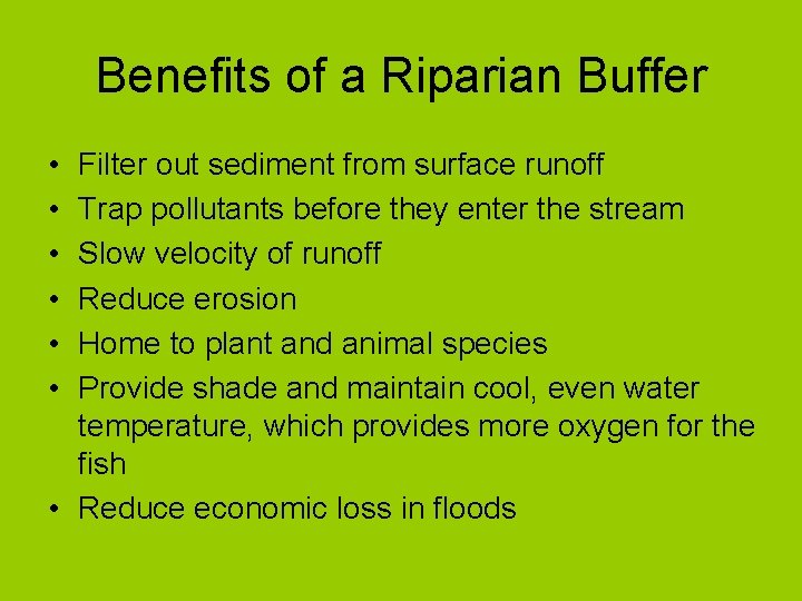 Benefits of a Riparian Buffer • • • Filter out sediment from surface runoff