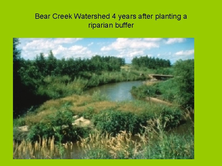 Bear Creek Watershed 4 years after planting a riparian buffer 