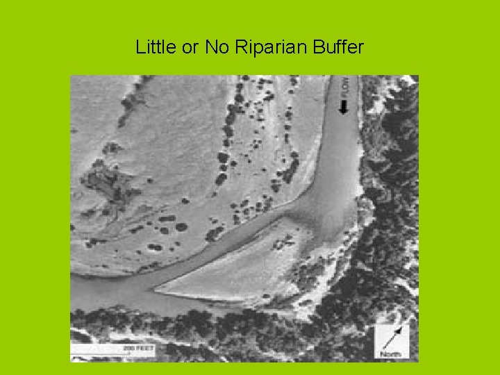 Little or No Riparian Buffer 