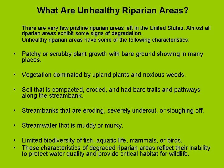 What Are Unhealthy Riparian Areas? There are very few pristine riparian areas left in