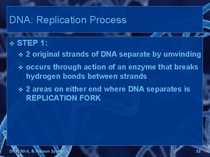 DNA: Replication Process v STEP 1: v 2 original strands of DNA separate by