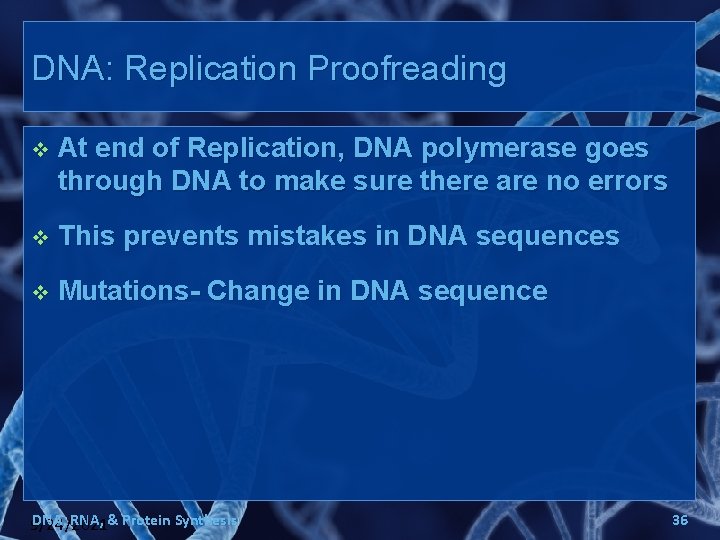 DNA: Replication Proofreading v At end of Replication, DNA polymerase goes through DNA to