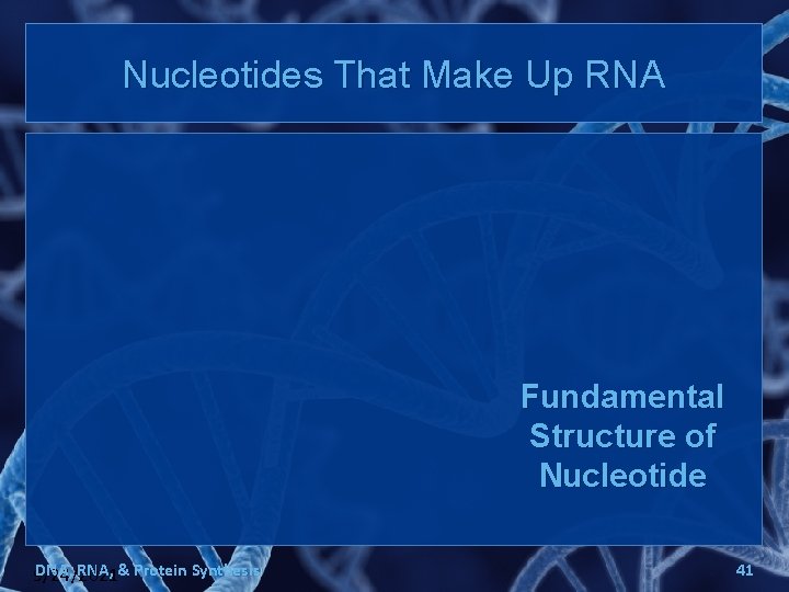 Nucleotides That Make Up RNA Fundamental Structure of Nucleotide DNA, RNA, & Protein Synthesis