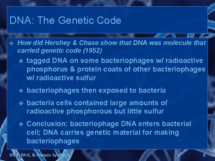 DNA: The Genetic Code v How did Hershey & Chase show that DNA was