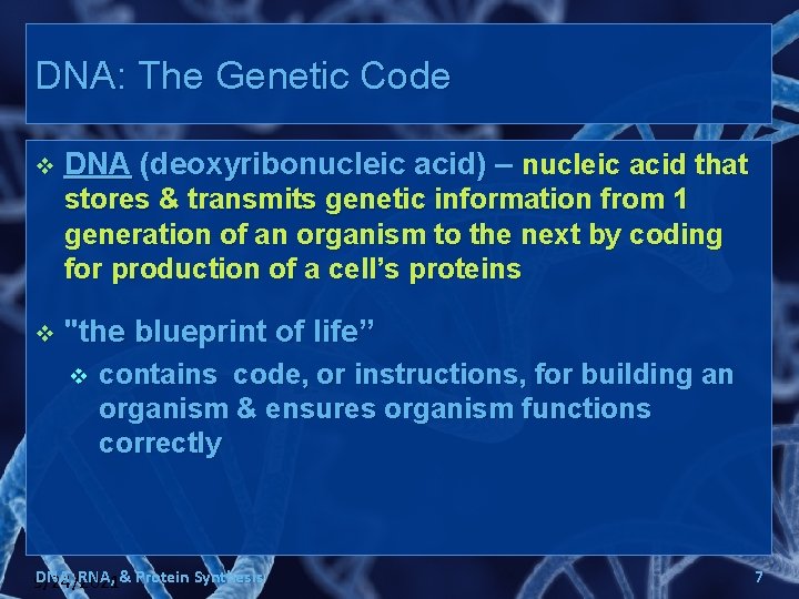 DNA: The Genetic Code v DNA (deoxyribonucleic acid) – nucleic acid that stores &