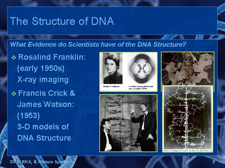 The Structure of DNA What Evidence do Scientists have of the DNA Structure? v