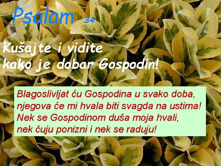Psalam 34 Kušajte i vidite kako je dobar Gospodin! Blagoslivljat ću Gospodina u svako Psalam 34 Kušajte i vidite kako je dobar Gospodin! Blagoslivljat ću Gospodina u svako