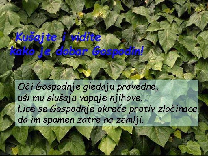Kušajte i vidite kako je dobar Gospodin! Oči Gospodnje gledaju pravedne, uši mu slušaju Kušajte i vidite kako je dobar Gospodin! Oči Gospodnje gledaju pravedne, uši mu slušaju