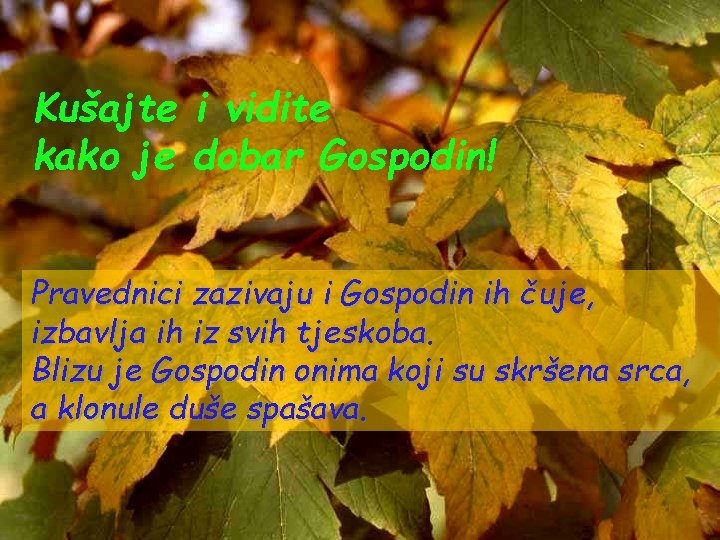 Kušajte i vidite kako je dobar Gospodin! Pravednici zazivaju i Gospodin ih čuje, izbavlja Kušajte i vidite kako je dobar Gospodin! Pravednici zazivaju i Gospodin ih čuje, izbavlja