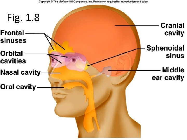 Fig. 1. 8 