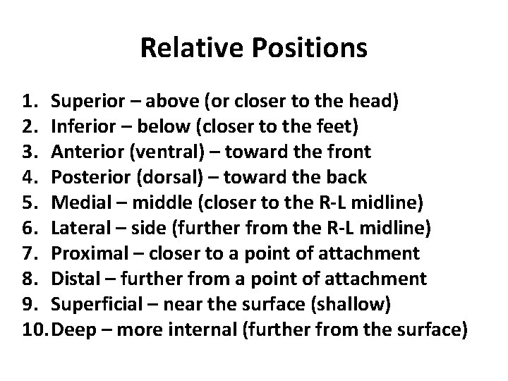 Relative Positions 1. Superior – above (or closer to the head) 2. Inferior –