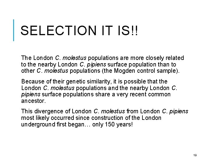 SELECTION IT IS!! The London C. molestus populations are more closely related to the