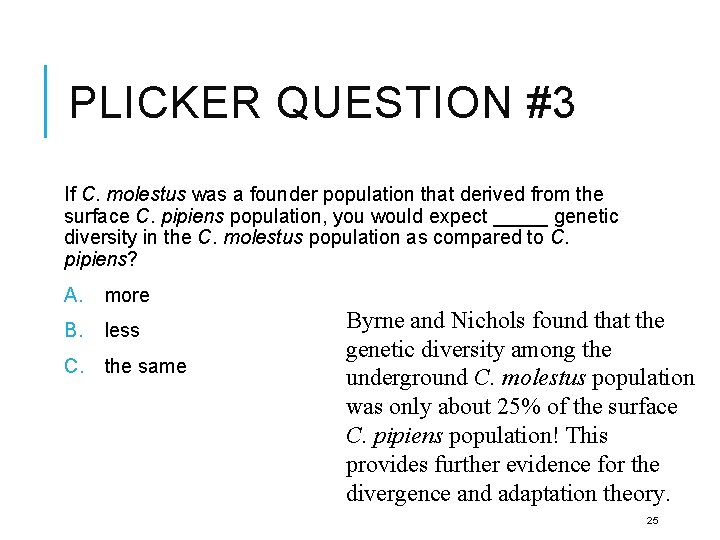 PLICKER QUESTION #3 If C. molestus was a founder population that derived from the