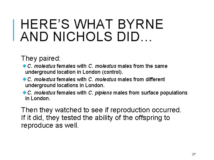 HERE’S WHAT BYRNE AND NICHOLS DID… They paired: C. molestus females with C. molestus