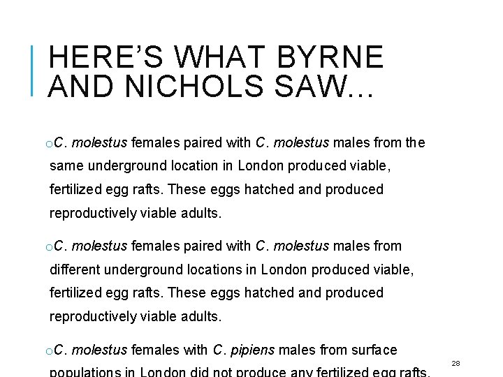 HERE’S WHAT BYRNE AND NICHOLS SAW… o. C. molestus females paired with C. molestus