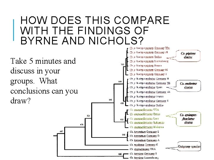 HOW DOES THIS COMPARE WITH THE FINDINGS OF BYRNE AND NICHOLS? Take 5 minutes