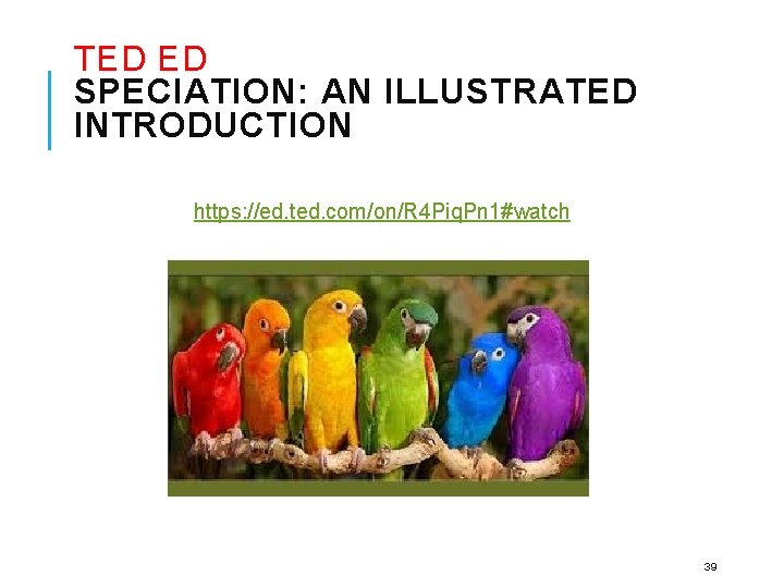 TED ED SPECIATION: AN ILLUSTRATED INTRODUCTION https: //ed. ted. com/on/R 4 Piq. Pn 1#watch