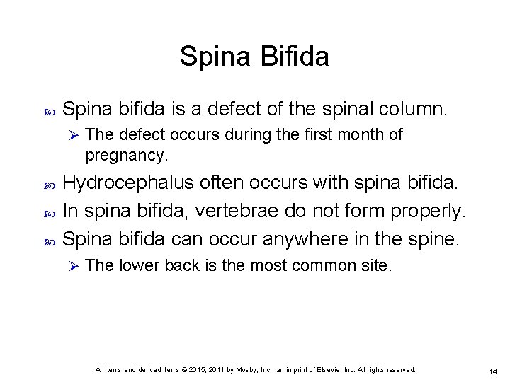 Spina Bifida Spina bifida is a defect of the spinal column. Ø The defect