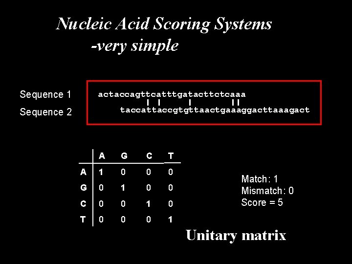 Nucleic Acid Scoring Systems -very simple Sequence 1 actaccagttcatttgatacttctcaaa taccattaccgtgttaactgaaaggacttaaagact Sequence 2 A G