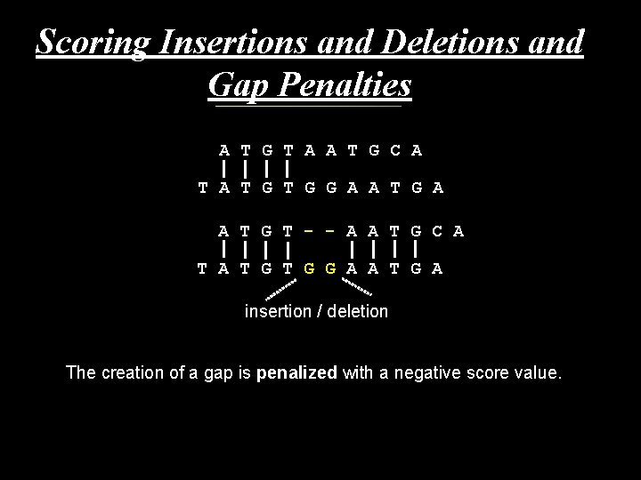 Scoring Insertions and Deletions and Gap Penalties A T G T A A T