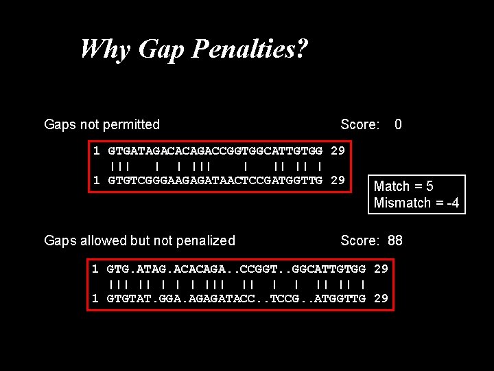 Why Gap Penalties? Gaps not permitted Score: 1 GTGATAGACACAGACCGGTGGCATTGTGG 29 ||| || | 1