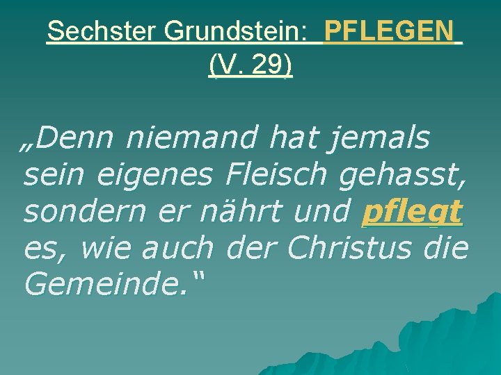 Sechster Grundstein: PFLEGEN (V. 29) „Denn niemand hat jemals sein eigenes Fleisch gehasst, sondern