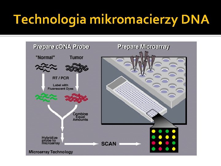Technologia mikromacierzy DNA 