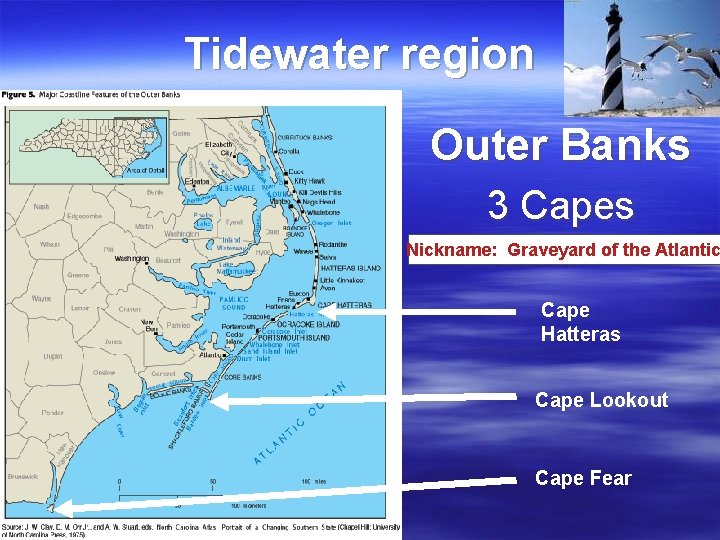 Tidewater region Outer Banks 3 Capes Nickname: Graveyard of the Atlantic Cape Hatteras Cape