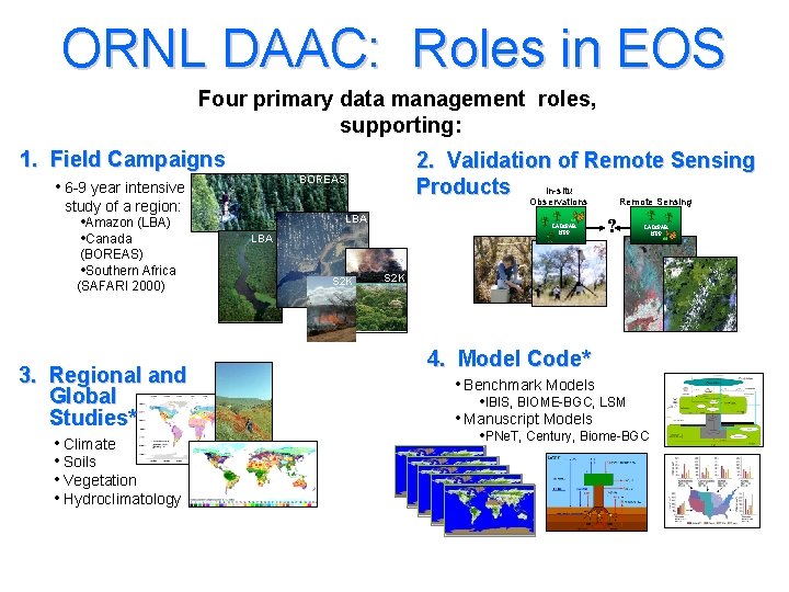 ORNL DAAC: Roles in EOS Four primary data management roles, supporting: 1. Field Campaigns
