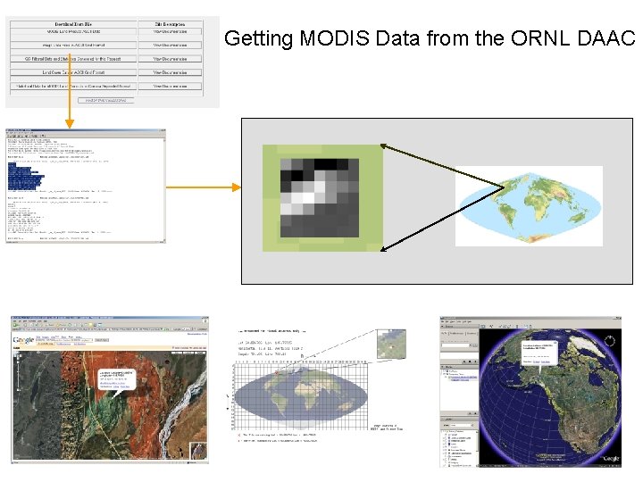 Getting MODIS Data from the ORNL DAAC 