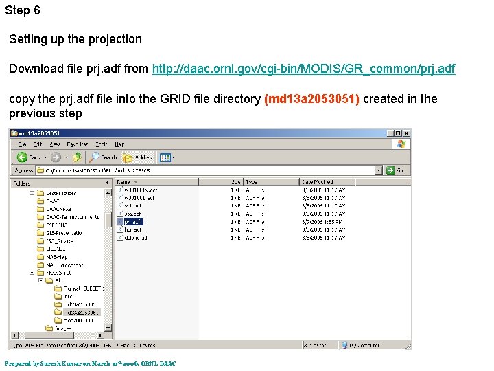 Step 6 Setting up the projection Download file prj. adf from http: //daac. ornl.