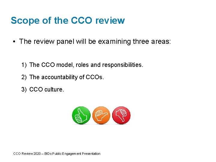 Scope of the CCO review • The review panel will be examining three areas: