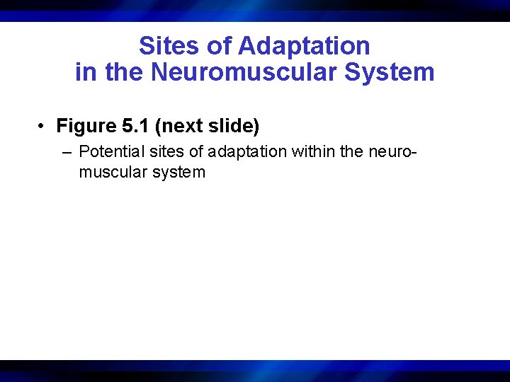 Sites of Adaptation in the Neuromuscular System • Figure 5. 1 (next slide) –